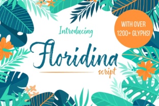 Floridina: A Fresh Brush Font for Contemporary Branding