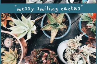 Messy Smiling Cactus Font for Casual Branding and Social Media Design