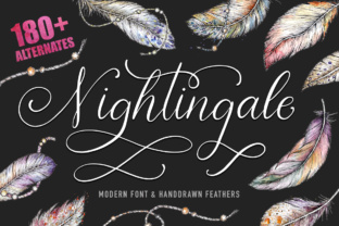 Nightingale Script: A Modern Handwritten Font for Digital Campaigns