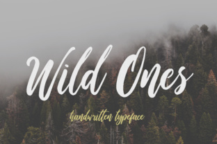 Wild Ones: A Playful Script Font for Modern Campaigns